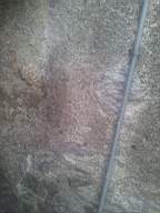 castlepark gate - 10865.jpg